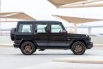 Mercedes-AMG G65 Final Edition 2018 года (WW)